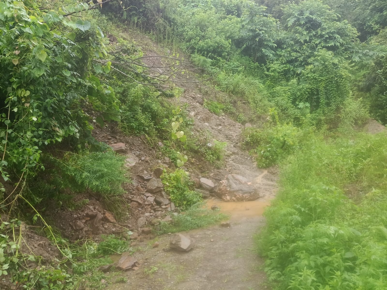 गौमाता की सेवा में अद्भुत उदाहरण, लेकिन खतरे की जद में ‘मां कामधेनु वात्सल्य सेवा धाम ट्रस्ट’ 50 मीटर दूर नाले की अनदेखी से गौशाला को बड़ा खतरा