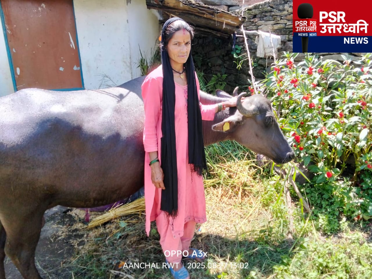 भैंस पालन से आत्मनिर्भर बनीं चंद्रा देवी   ग्राम गुरेली, विकासखंड लोहाघाट (चम्पावत)