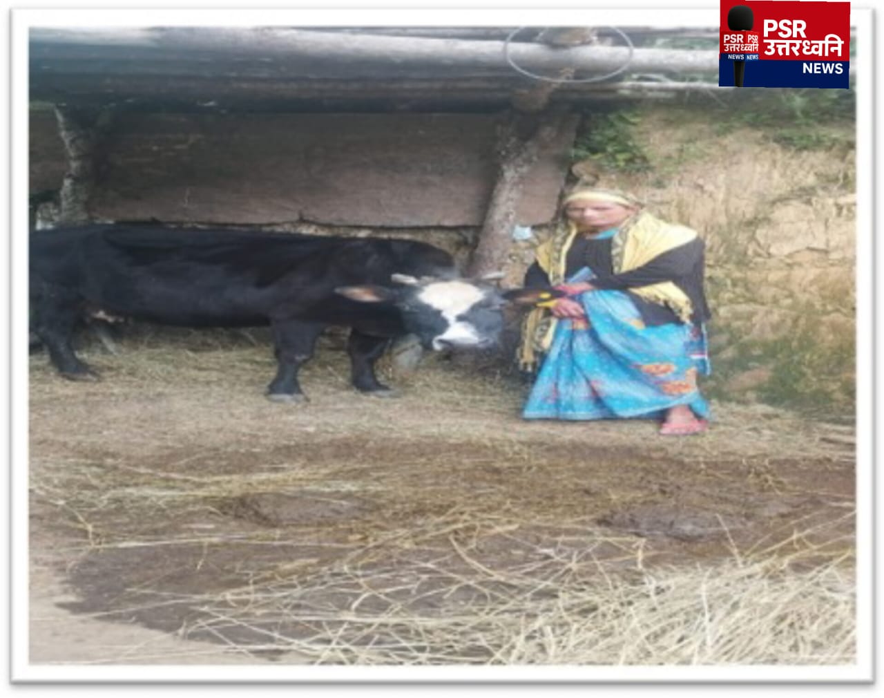 जनपद में विकास, स्वास्थ्य, स्वच्छता और जागरूकता की दिशा में प्रशासन की सक्रिय पहलें